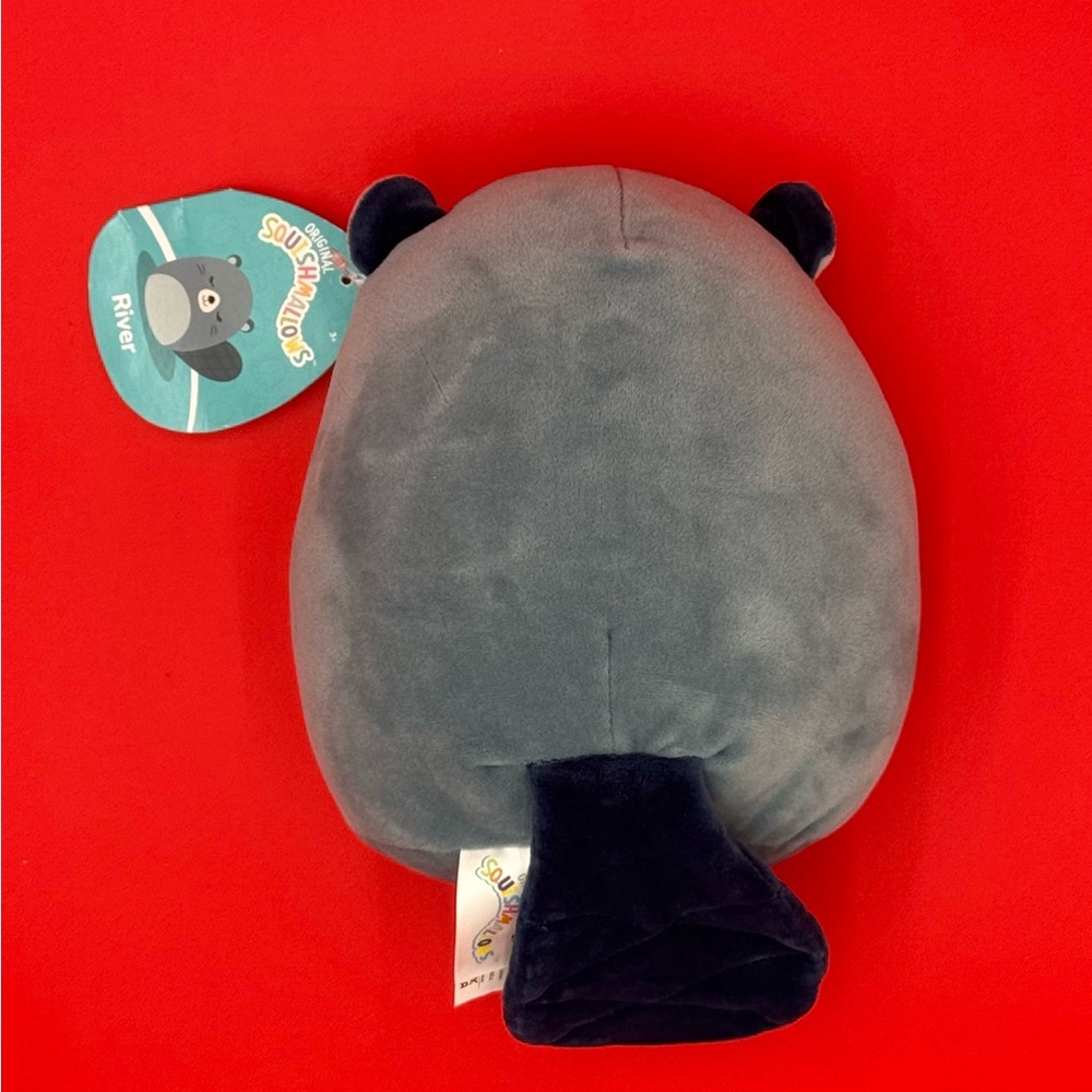 Squishmallows NWT‎ River the Beaver. Ships next biz day . - Picture 4 of 6